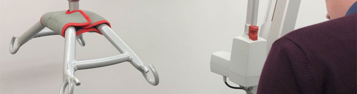 Mobility hoist service